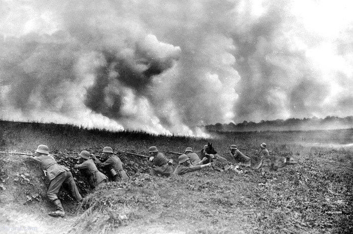 (تصاویر) جنگ جهانی اول؛ حیوانات جنگی