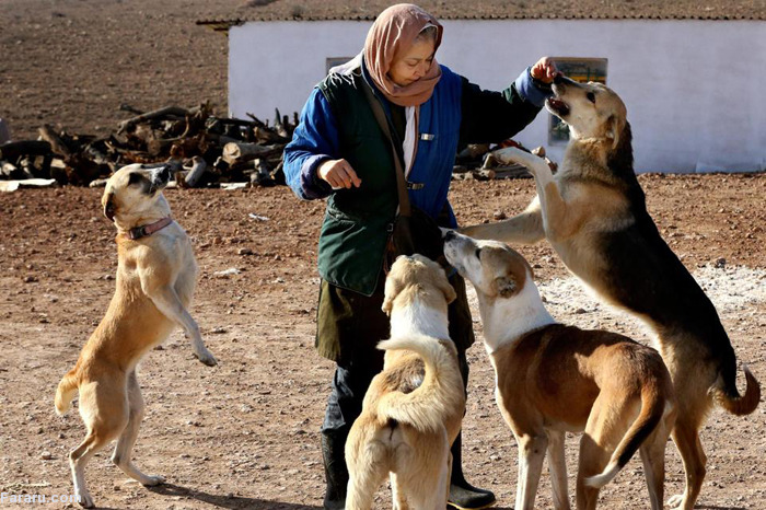 مرکز نگهداری از حیونات وفا قیمت سگ فروش سگ دختر تهرانی