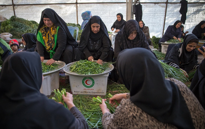 (تصاویر) طبخ آش 80 تنی در شیراز