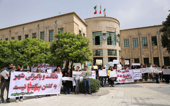 (تصاویر) اعتراض به سگ‌کشی در شیراز