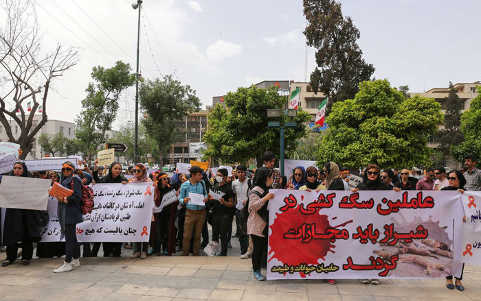 (تصاویر) اعتراض به سگ‌کشی در شیراز