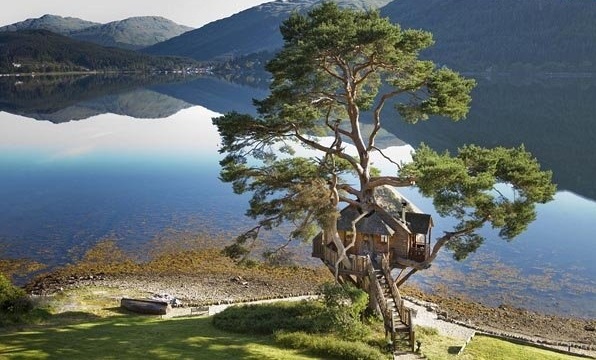 ماه عسل عکس رمانتیک خانه رمانتیک خانه درختی توریستی اسکاتلند