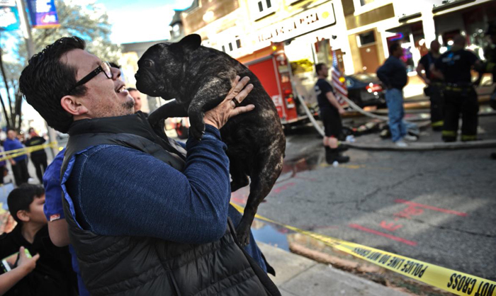 (تصاویر) عملیات نجات سگ از شعله‌های آتش