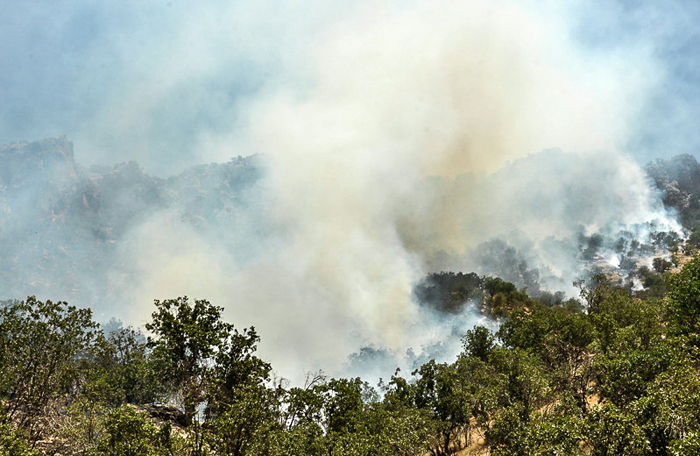 (تصاویر) آتش‌سوزی بی‌سابقه در جنگل‌های ایلام