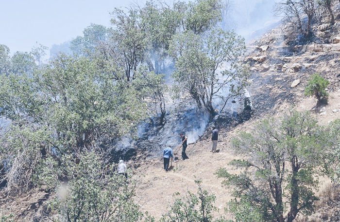 (تصاویر) آتش‌سوزی بی‌سابقه در جنگل‌های ایلام