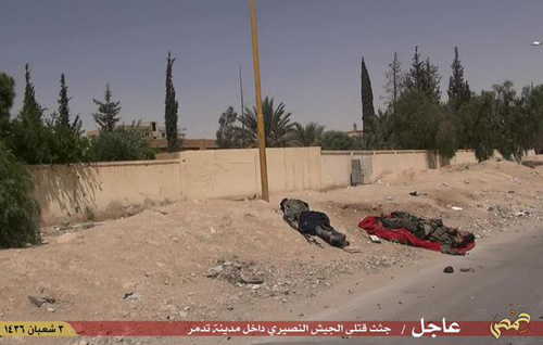 (تصاویر) پالمیرا در تصرف داعش