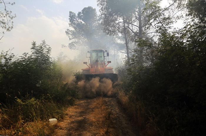 (تصاویر) آتش‌سوزی در جنگل‌های گرگان