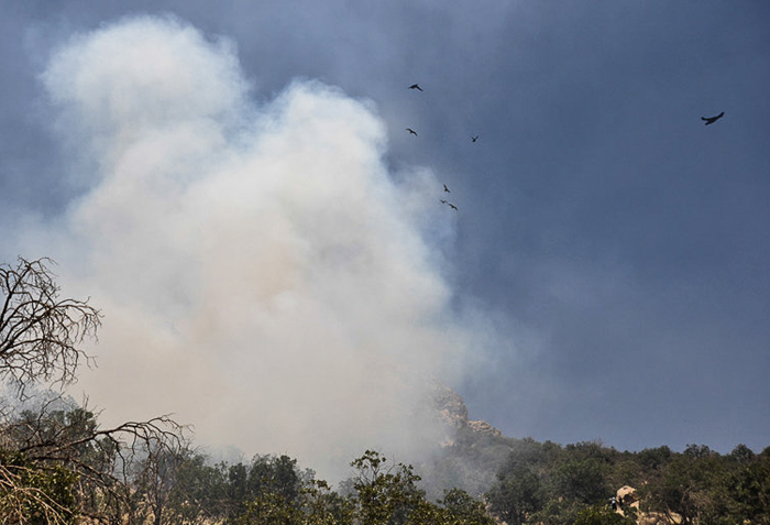 (تصاویر) آتش سوزی در جنگل های ایلام