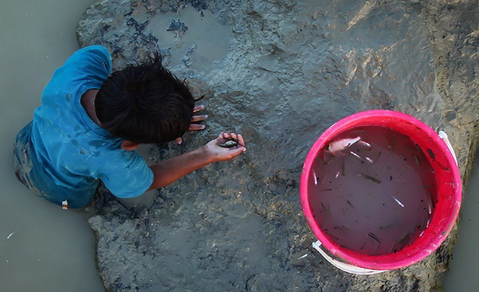 (تصاویر) نجات ماهیان زاینده رود