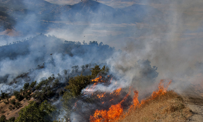 (تصاویر) 150هکتار جنگل‌ در مریوان سوخت