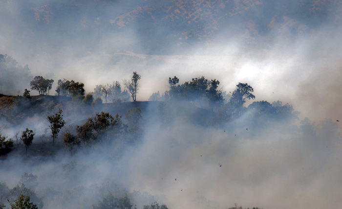 (تصاویر) 150هکتار جنگل‌ در مریوان سوخت