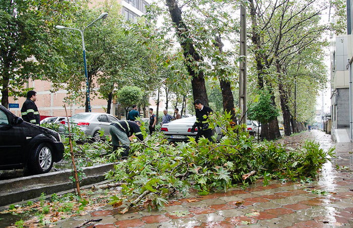 (تصاویر) خسارات توفان در ساری