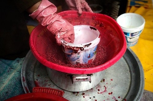 (تصاویر) پخت ترشی انار