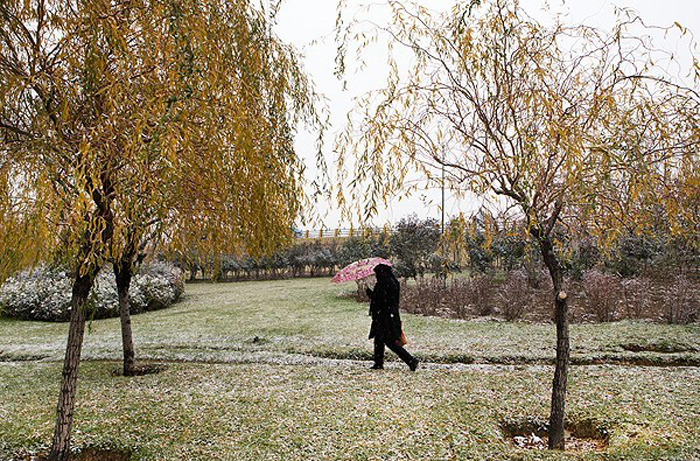 (تصاویر) برف پائیزی در تهران
