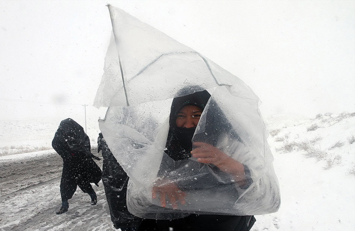 (تصاویر) زائران امام رضا(ع) در برف و سرما