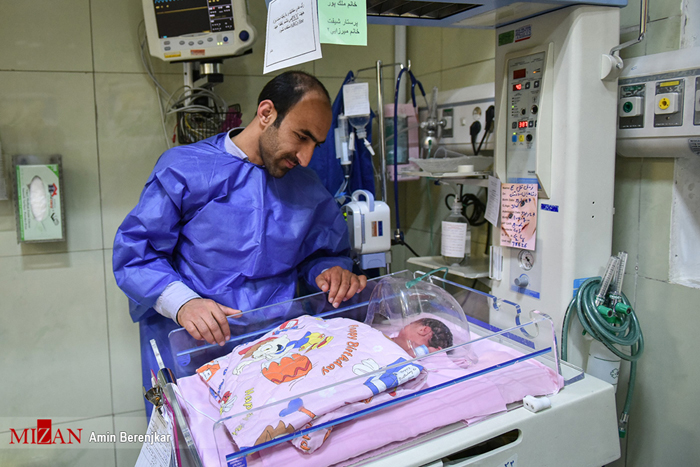 (تصاویر) تولد پنج قلوهای شیرازی