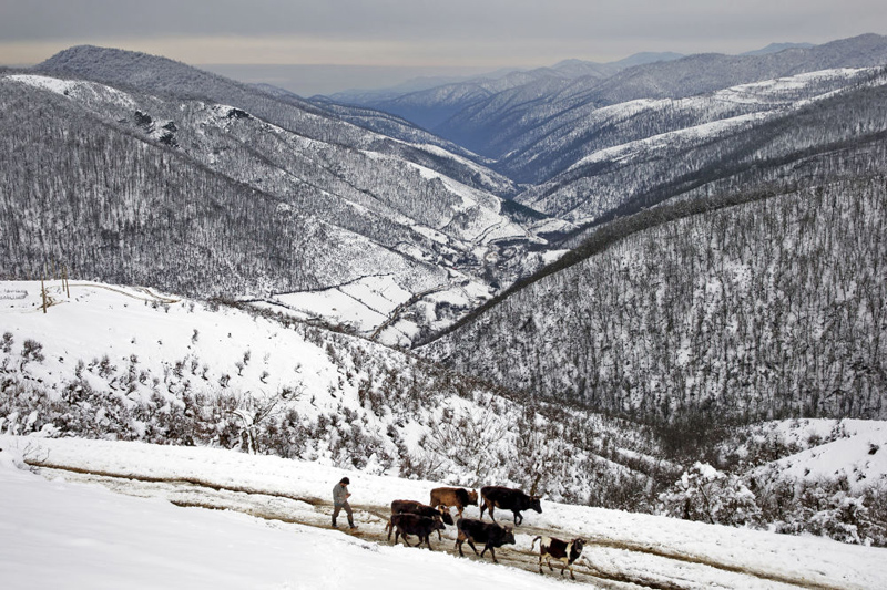 (تصاویر) گزارش خبرگزاری روس از زمستان تالش
