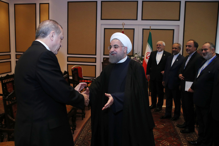 (تصاویر) دیدار روحانی و اردوغان