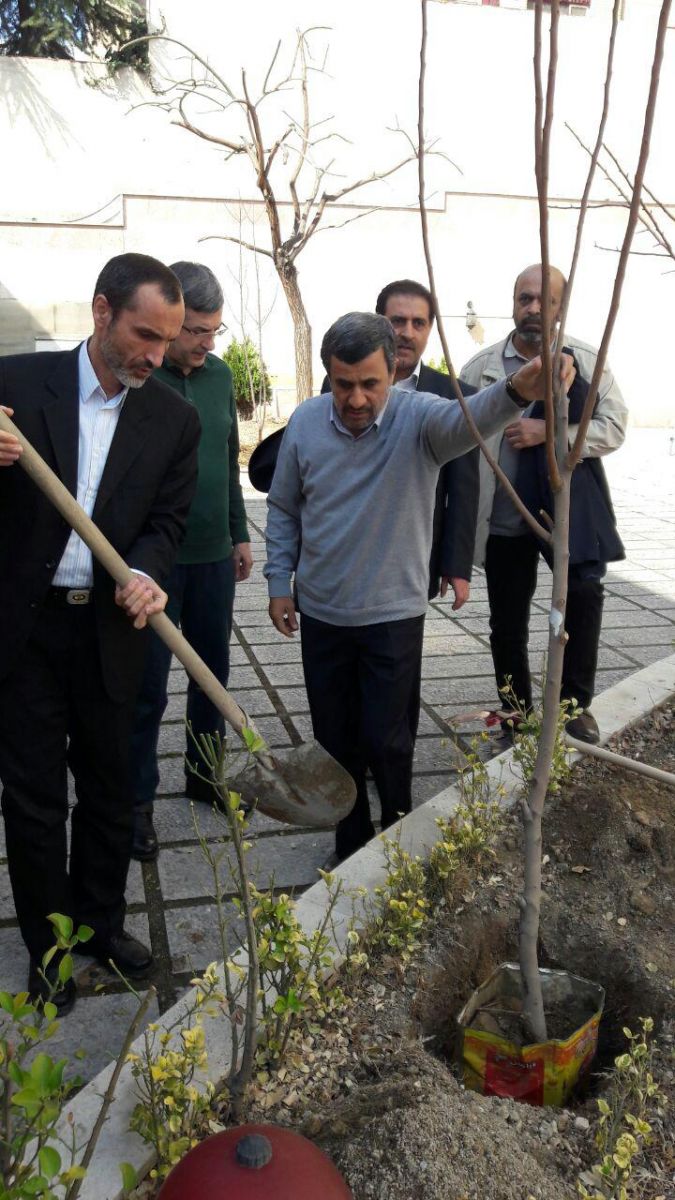 کاشت نهال توسط احمدی نژاد، بقایی و مشایی