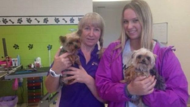 جنجال ادامه دار سگ‌های جانی دپ در استرالیا