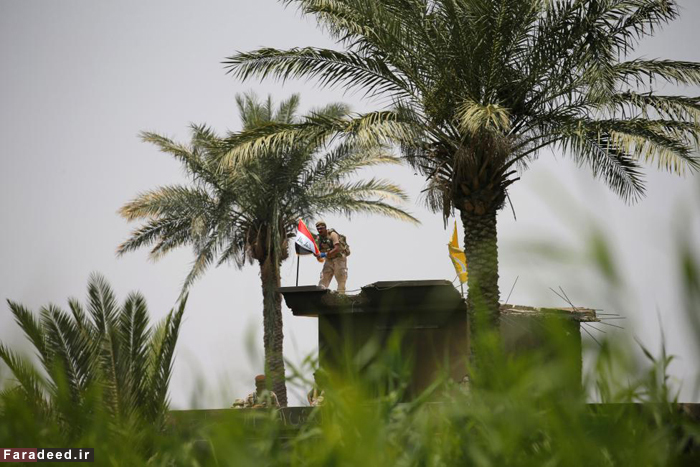 (تصاویر) پیشروی ارتش عراق در فلوجه