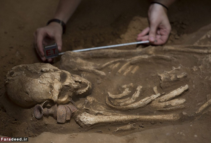 (تصاویر) کشف اولین گورستان ساکنان باستانی فلسطین
