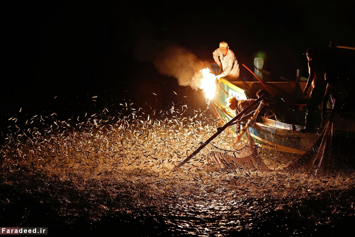 (تصاویر) صید ماهی با شعله‌های آتش!