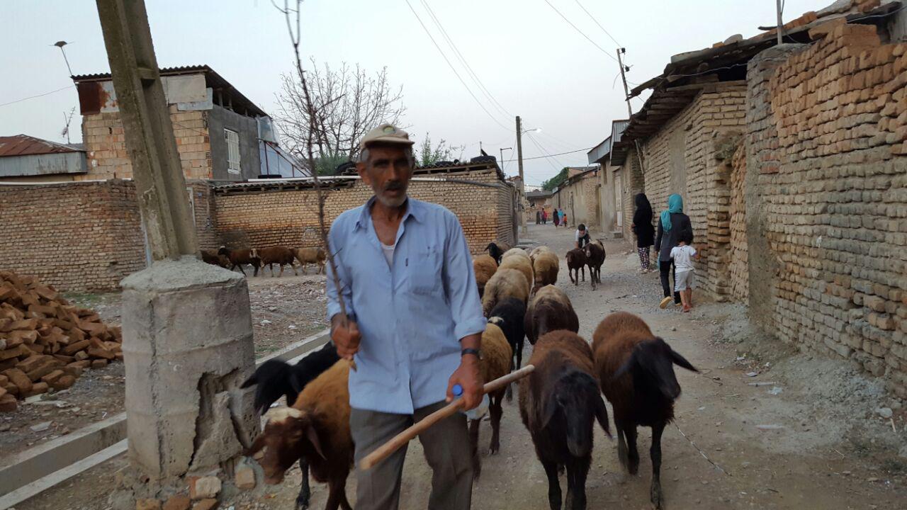داستان خواندنی مردی که در غربت روستا می‌سازد +(تصاویر)