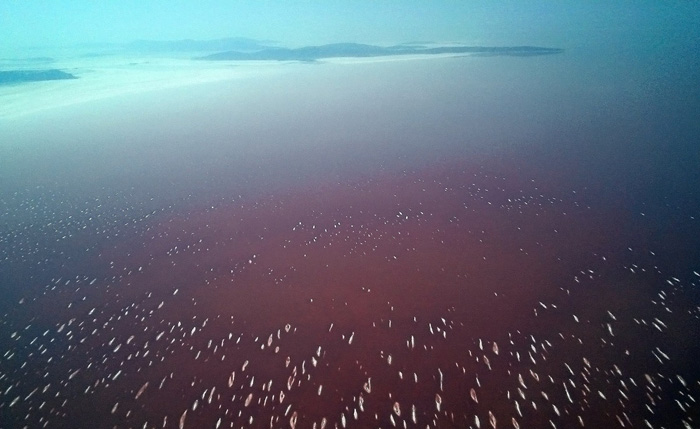 (تصاویر) بازدید سگولن رویال از دریاچه ارومیه‎