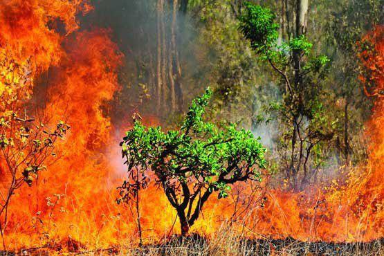 125 هکتار از گندمزارهای گلستان در آتش سوخت