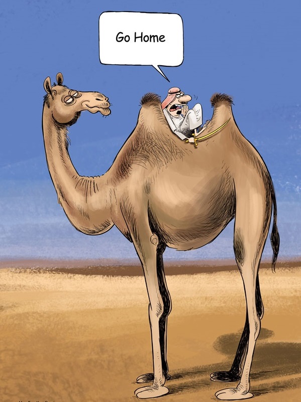 (کاریکاتور) شاهکار عربستان در ثبت کینه شتری!