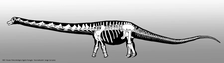 (تصاویر) بزرگترین دایناسوری که پا به زمین گذاشت