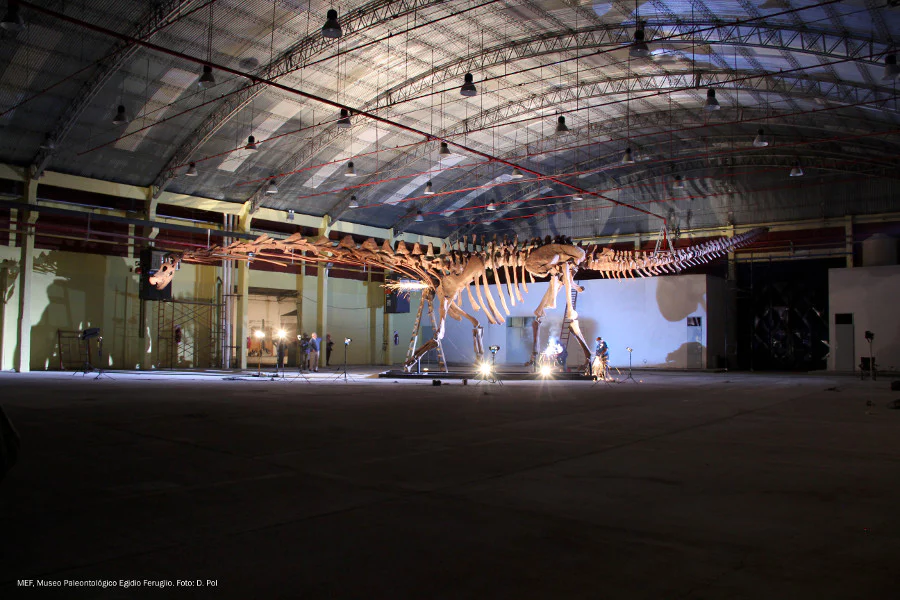 (تصاویر) بزرگترین دایناسوری که پا به زمین گذاشت