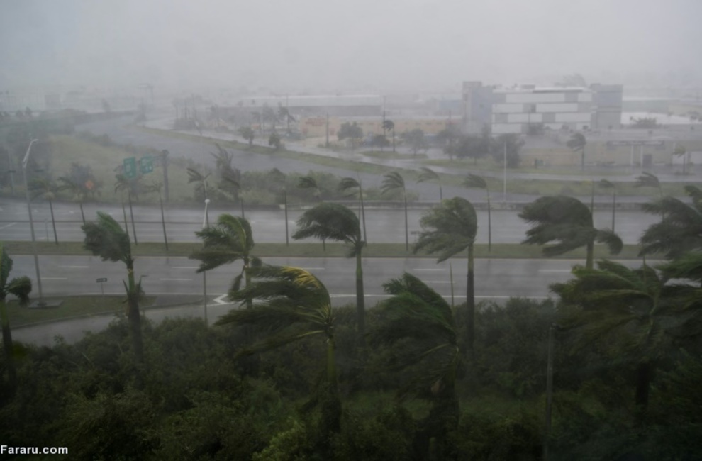 توفان فلوریدا