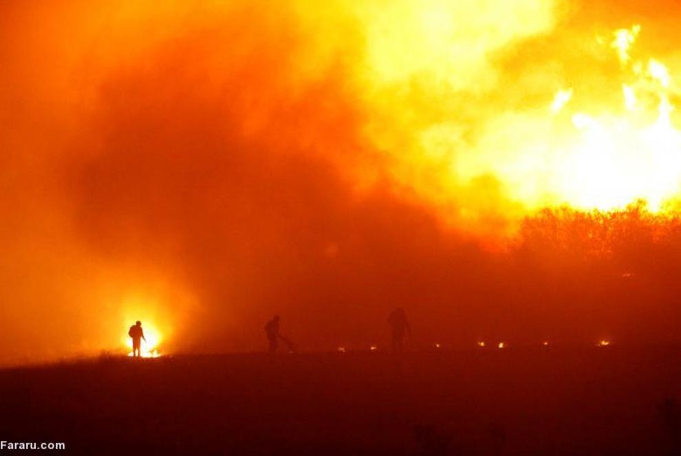 آتش سوزی در جنگل‌های شیلی