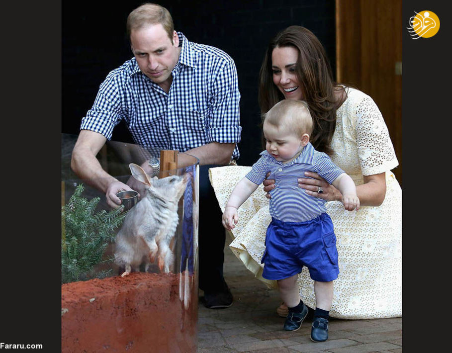 شاهزاده ویلیام، همسر و پسرش در باغ وحشی در استرالیا