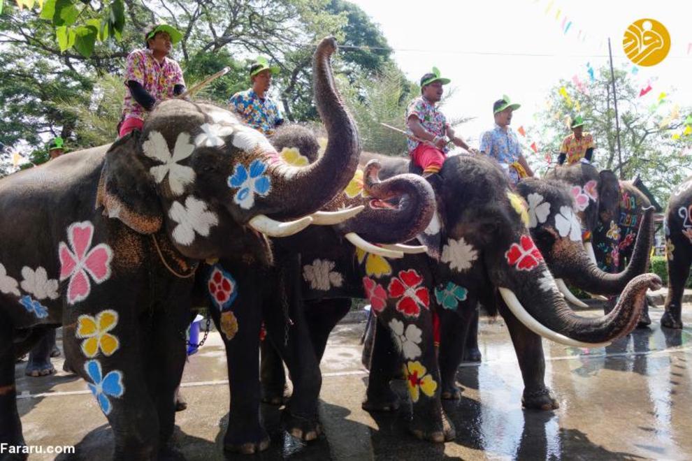 تصاویری از جشنواره هیجان‌ انگیز آب‌ بازی در تایلند