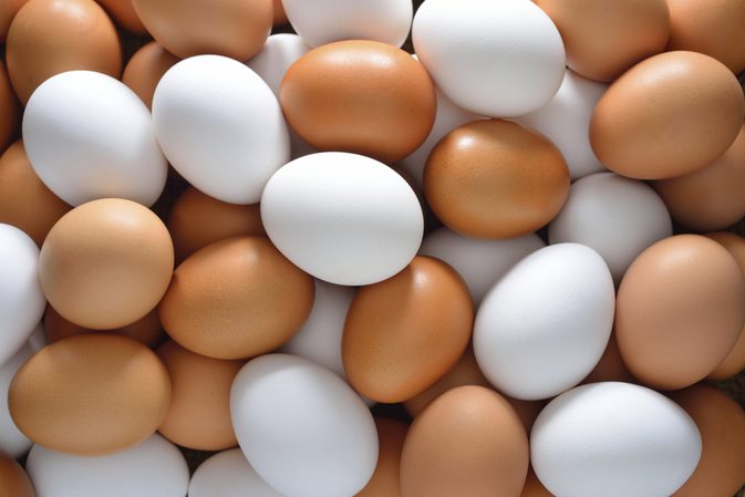 هر کیلو تخم‌مرغ ۵۰۰ تومان ارزان شد