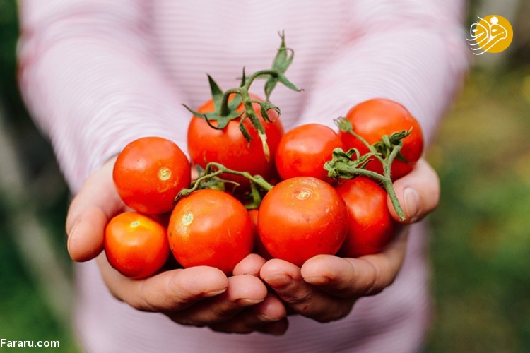 معرفی ۱۱ مزیت مصرف گوجه فرنگی