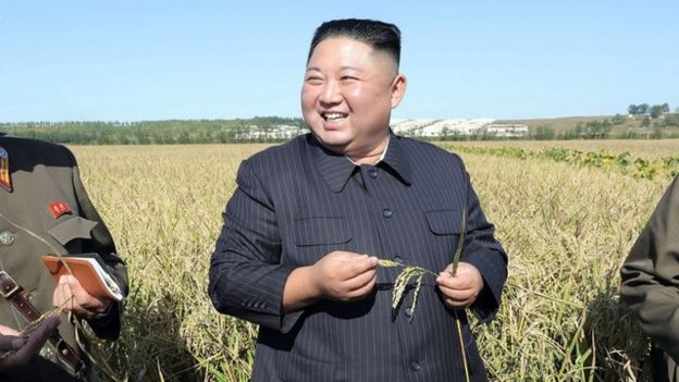 سازمان ملل: نیمی از جمعیت کره شمالی دچار سوء تغذیه است