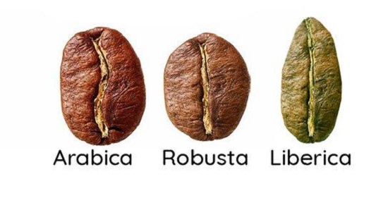 لیستی کامل از انواع قهوه‌های موجود در دنیا