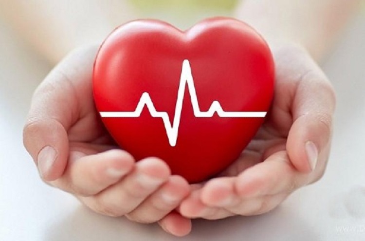 تپش قلب؛ نشانه ها، علل و راه‌های درمان آن