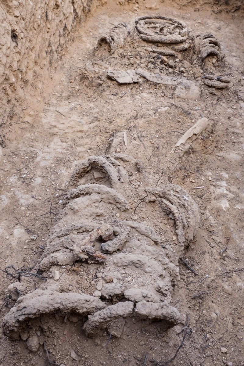 (تصویر) کشف تکان‌د‌هندۀ جسدی ۱۵۰۰ ساله در غل و زنجیر