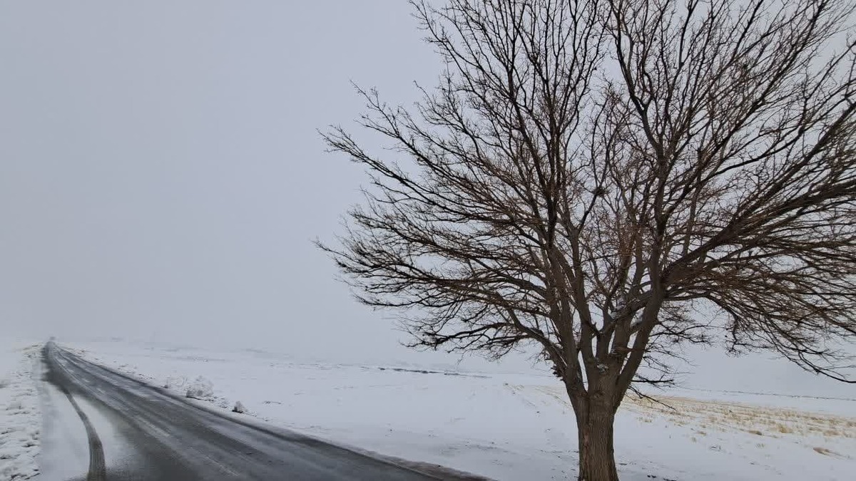 (ویدئو) لیز خوردن دنا در روز برفی و برخورد با یک خودروی سمند