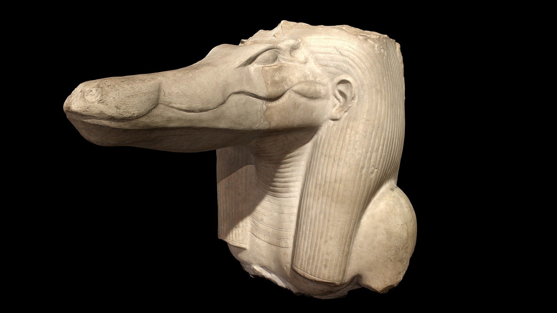 سر تمساح در گورهای باستانی مصری!