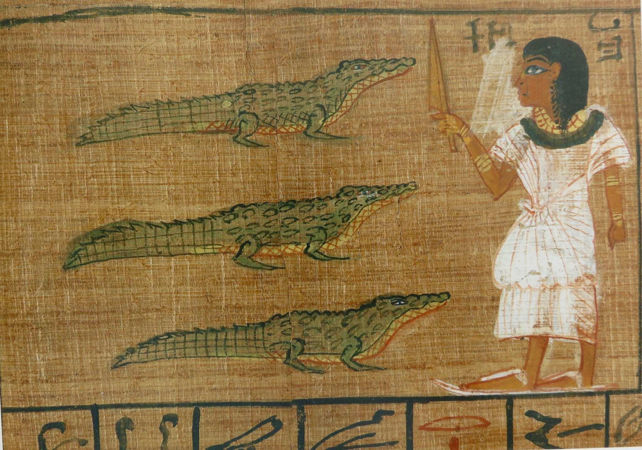 سر تمساح در گورهای باستانی مصری!