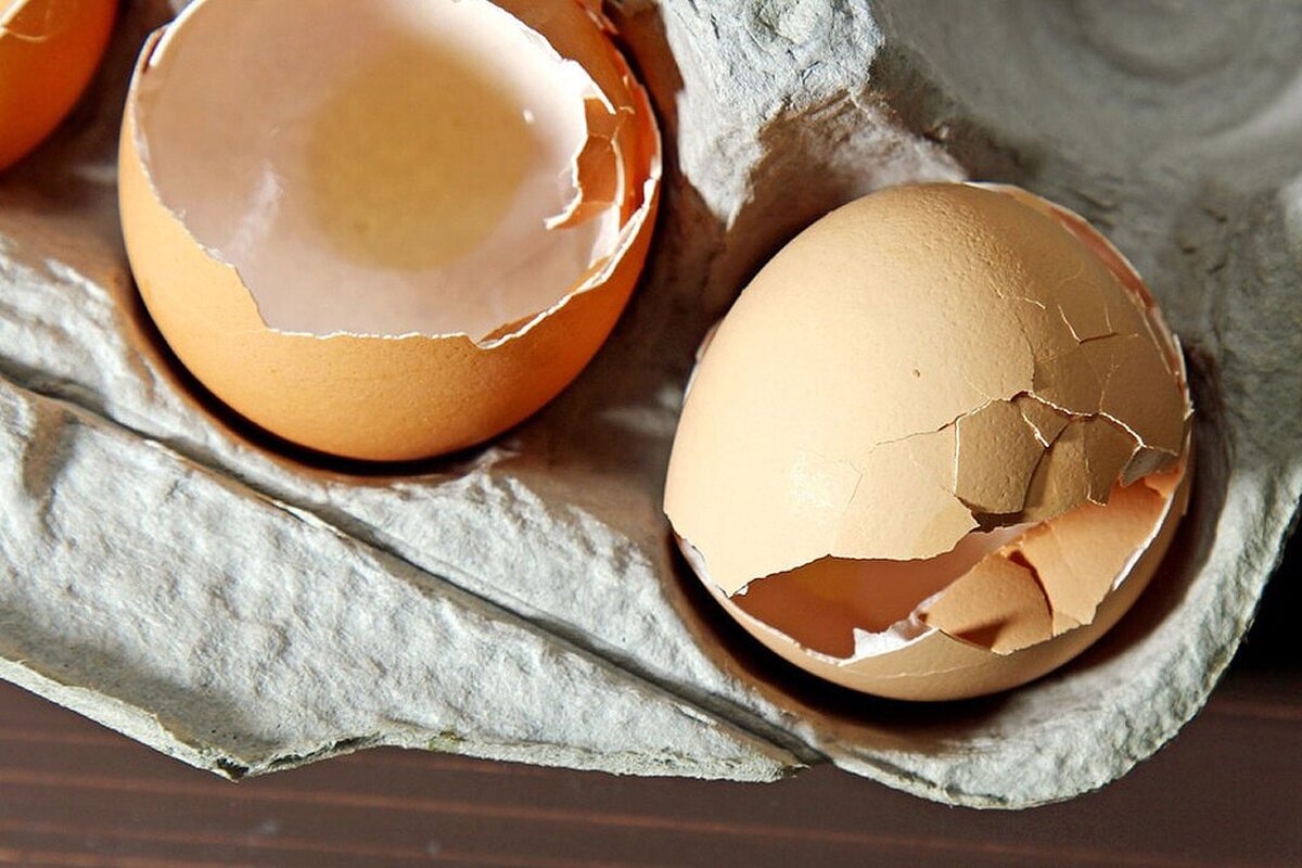 پوست تخم مرغ را دور نیندازید!