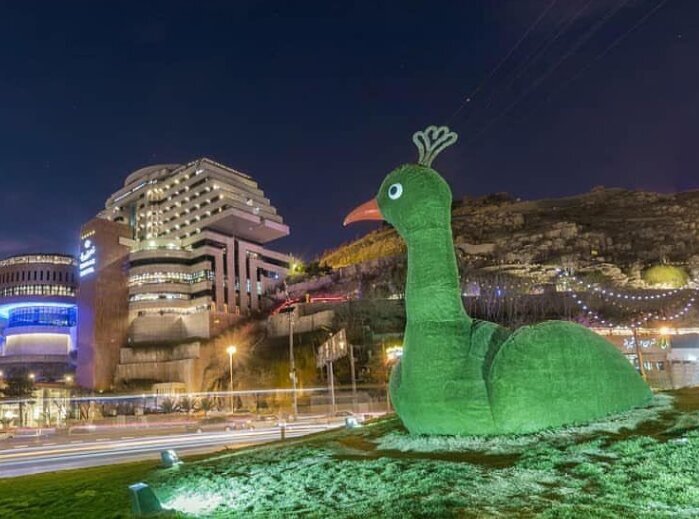 (تصاویر) طاووس بدقواره شیراز دوباره برمی‌گردد