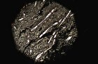 کشف آثار شگفت انگیزی از آتش سوزی ۴۳۰ میلیون ساله