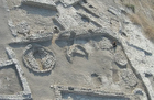 (تصویر) کشف قدیمی ترین شواهد از کاشت زیتون توسط انسان